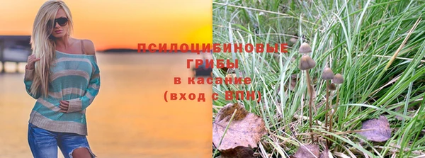 mix Богородицк